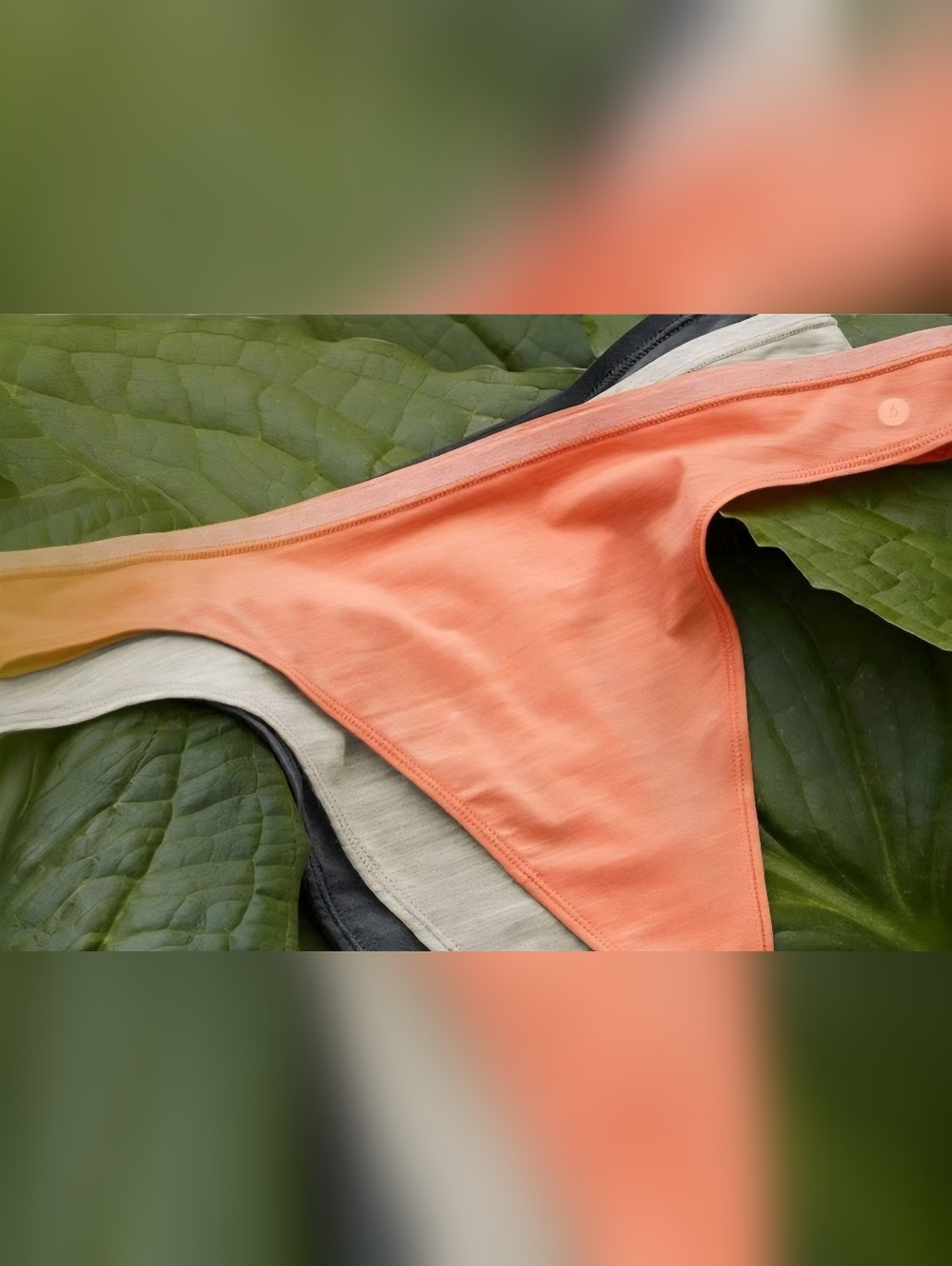 Allbirds Trino Thongs 3 Pair NWT